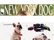 The New York Dog
