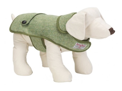 Appleby designer dog coat