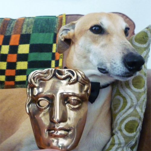 Gogglebox’s whippet Buster is all set for winter 