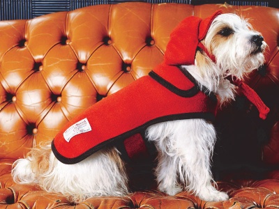 Edison Orange Harris Tweed Dog Coat