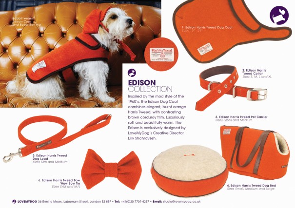 Inspired by the mod style of the 1960’s, the Edison Dog Coat combines elegant, burnt orange Harris Tweed, with contrasting brown corduroy trim.