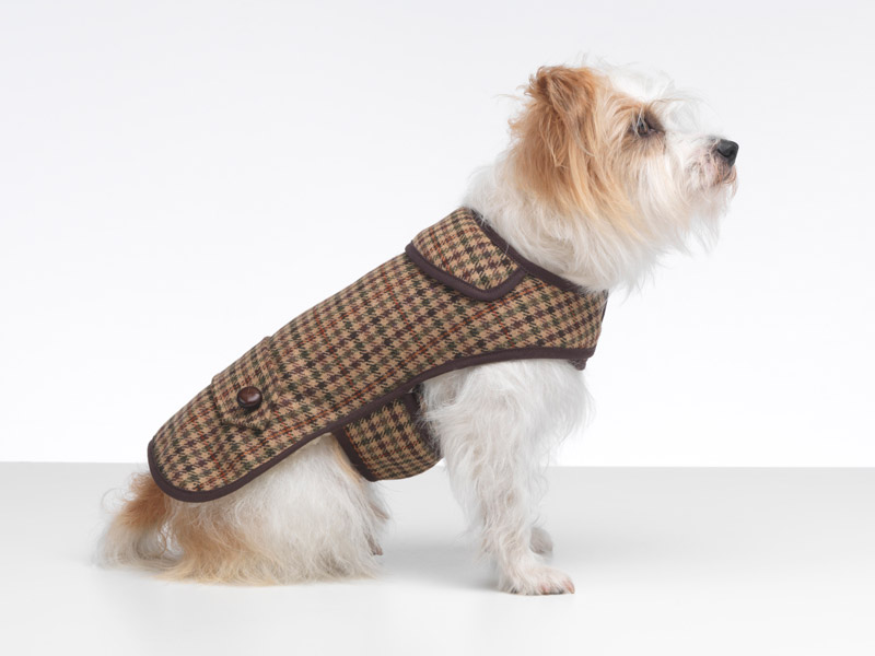 sidworth-dog-coat-new